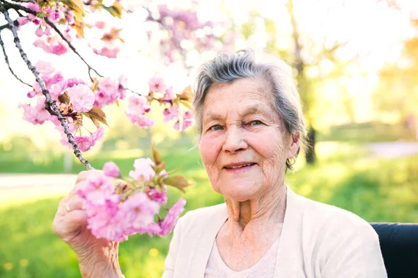 Elderly woman in wheelchair in spring nature. — Stock Photo, Image