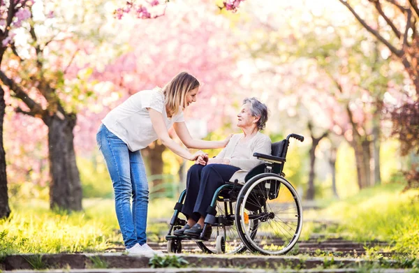 Ältere Oma im Rollstuhl mit Enkelin in der Frühlingsnatur. — Stockfoto
