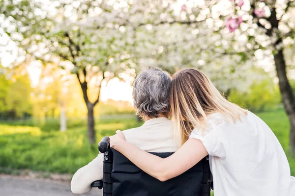 Пожилая бабушка в инвалидной коляске с внучкой на весенней природе . — стоковое фото