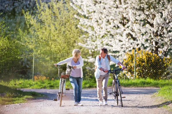 Hermosa pareja de ancianos con bicicletas al aire libre en la naturaleza de primavera . — Foto de Stock