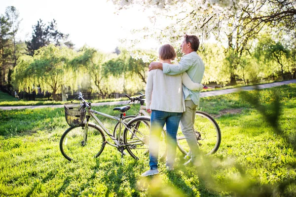 Hermosa pareja de ancianos con bicicletas al aire libre en la naturaleza de primavera . — Foto de Stock