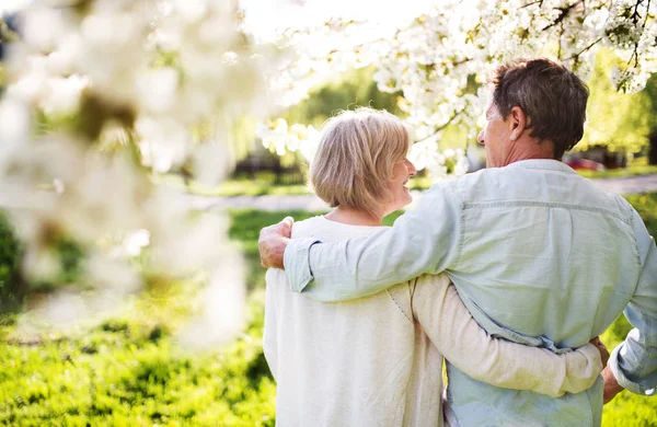 Beautiful senior couple in love outside in spring nature. — Stock Photo, Image