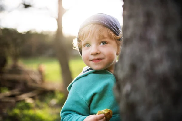 Een gelukkig peuter jongen verbergen achter boom buiten in de natuur van de lente. — Stockfoto