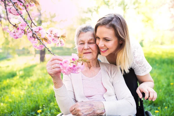 Ältere Oma im Rollstuhl mit Enkelin in der Frühlingsnatur. — Stockfoto