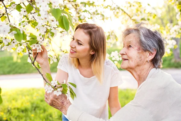 노인 할머니와 손녀 봄 자연에서 나무 아래. — 스톡 사진