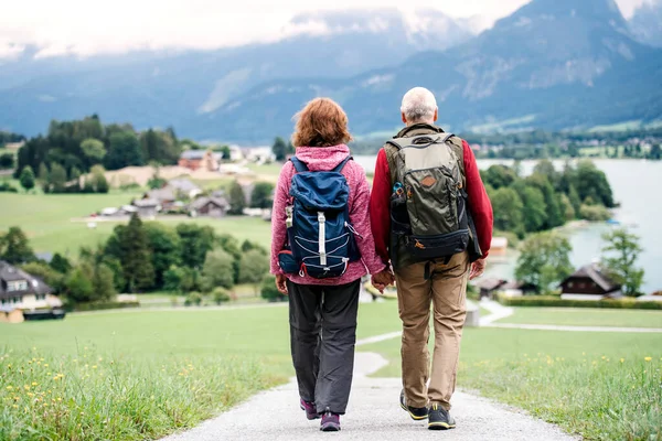 Una vista trasera de la pareja de jubilados senderismo en la naturaleza, tomados de la mano . — Foto de Stock