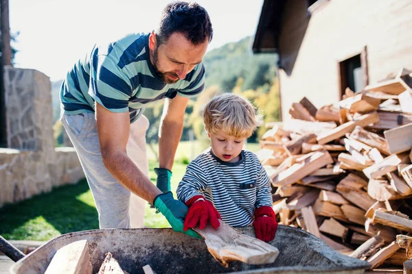 A father and toddler boy outdoors in summer, putting firewood in wheelbarrow. — Stock Photo, Image