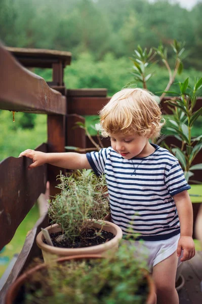 Un niño pequeño parado al aire libre en una terraza en verano . — Foto de Stock