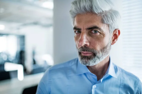 Portret van volwassen zakenman staand in een kantoor, kijkend naar camera. — Stockfoto