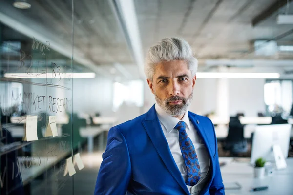 Een portret van volwassen zakenman staand in een kantoor, kijkend naar camera. — Stockfoto