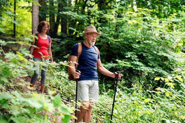 Coppia di turisti anziani con zaini in una passeggiata nella foresta nella natura . — Foto Stock