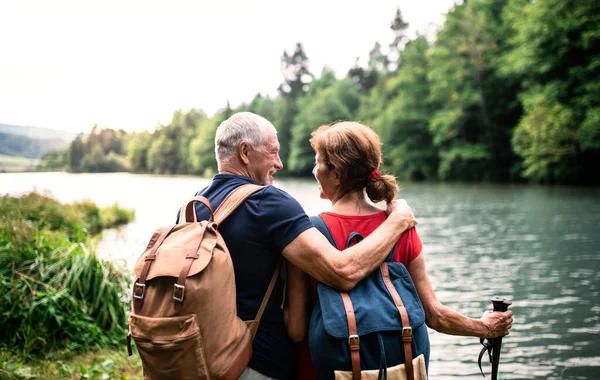 Vista posteriore della coppia di turisti anziani in una passeggiata nella natura, in piedi sul lago . — Foto Stock