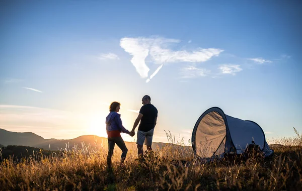 高级旅游夫妇在日落时站在大自然中的后视图，休息. — 图库照片