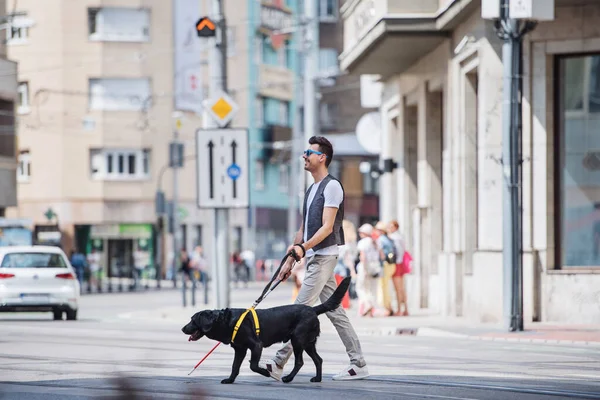 Jovem cego com bengala branca e cão guia andando pela rua na cidade . — Fotografia de Stock
