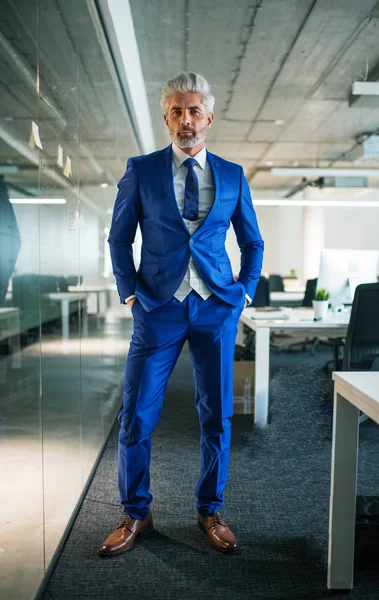 Um retrato de homem de negócios maduro em pé em um escritório, olhando para a câmera . — Fotografia de Stock