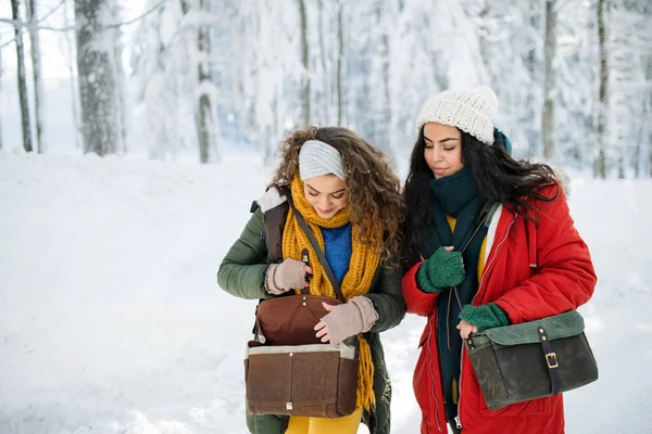 Молоді веселі друзі на прогулянці на відкритому повітрі в снігу в зимовому лісі . — стокове фото