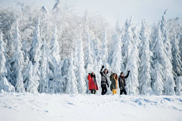 Un gruppo di giovani amici a fare una passeggiata all'aria aperta nella neve nella foresta invernale . — Foto Stock