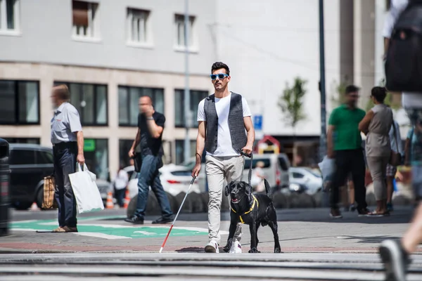 Jovem cego com cana branca e cão guia andando no pavimento na cidade . — Fotografia de Stock