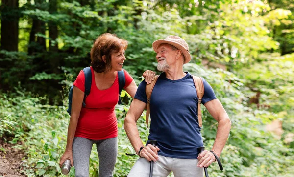 Senior turist par med ryggsäckar på en promenad i skogen i naturen. — Stockfoto