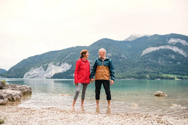 Een oudere gepensioneerde paar wandelaars staan blootsvoets in het meer in de natuur. — Stockfoto