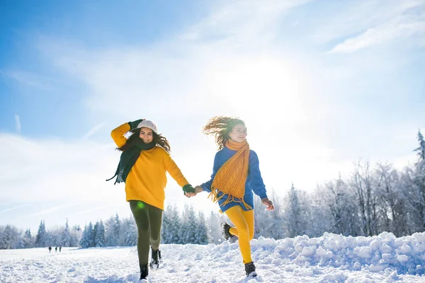 Genç neşeli arkadaşlar kışın karlı havada dışarıda yürüyüşe çıktılar, koşuyorlar.. — Stok fotoğraf