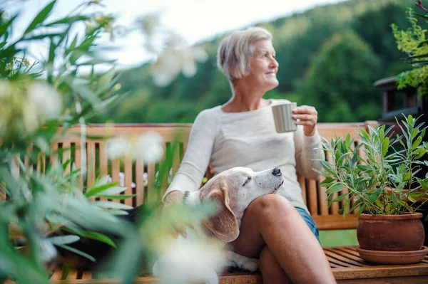 Una mujer mayor con un perro y café sentado al aire libre en una terraza en verano . —  Fotos de Stock