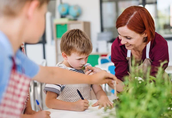 Grupo de crianças de escola pequena com professor em sala de aula, aprendendo sobre plantas . — Fotografia de Stock