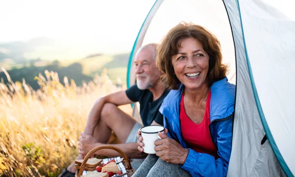 Senior tourist couple with picnic basket sitting in nature at sunset, resting. — Stock Photo, Image