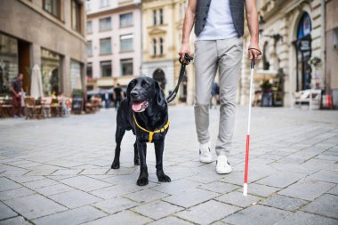 Unrecognizable young blind man with white cane and guide dog in city. clipart
