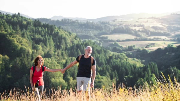 Coppia di turisti anziani che camminano nella natura, tenendosi per mano . — Foto Stock