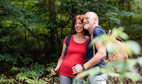 Senior pareja de turistas con mochilas en un paseo por el bosque en la naturaleza . — Foto de Stock