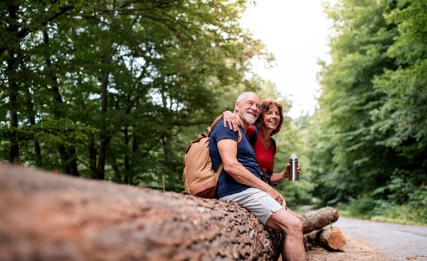 Senior Touristenpaar mit Flasche auf einem Spaziergang im Wald in der Natur, sitzend. — Stockfoto