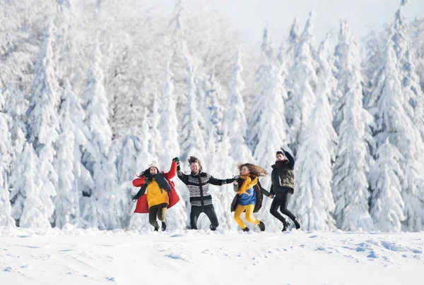 Een groep jonge vrienden op een wandeling buiten in de sneeuw in het winter bos. — Stockfoto