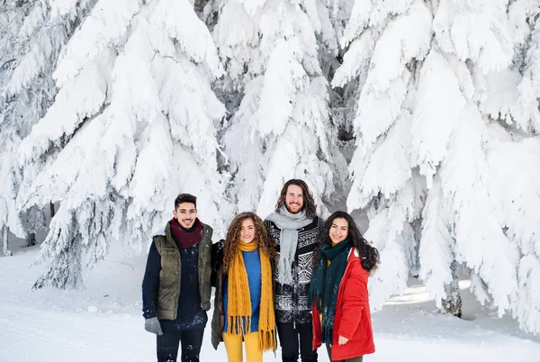 Группа молодых друзей на прогулке под открытым небом в снегу зимой . — стоковое фото