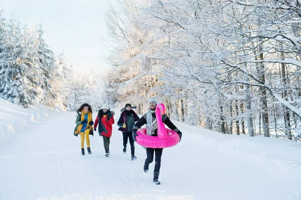 Grupa młodych przyjaciół na spacer na zewnątrz w śniegu w zimie lasu. — Zdjęcie stockowe