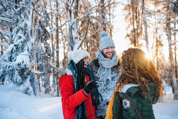 En grupp glada unga vänner som står utomhus i snön i vinterskogen. — Stockfoto