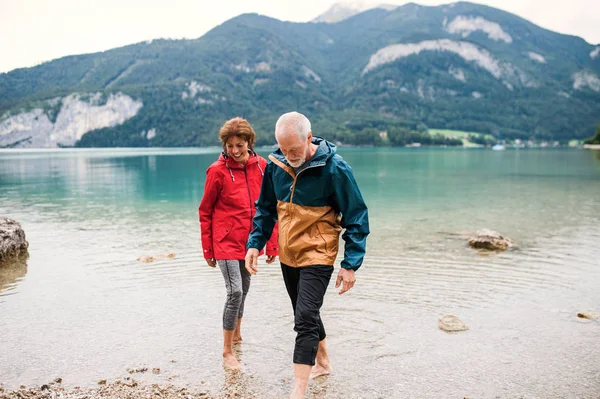 Um casal de pensionistas seniores caminhantes de pé descalços no lago na natureza . — Fotografia de Stock