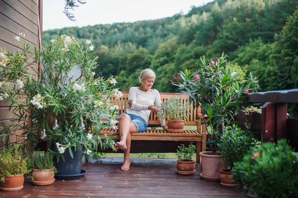 夏に屋外のテラスに座って休んでいる年配の女性. — ストック写真