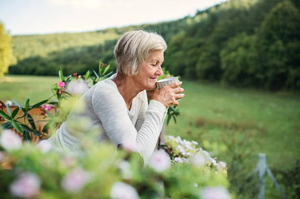 Oudere vrouw met koffie buiten op een terras in de zomer. — Stockfoto