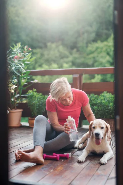 Una donna anziana con cane all'aperto su una terrazza, a riposo dopo l'esercizio . — Foto Stock