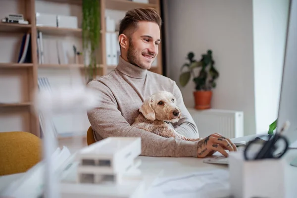 Ung affärsman med hund sitter vid skrivbordet inomhus på kontoret, med hjälp av dator. — Stockfoto