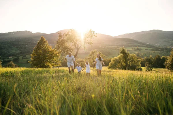 Jeune famille avec deux jeunes enfants marchant sur la prairie à l'extérieur au coucher du soleil . — Photo