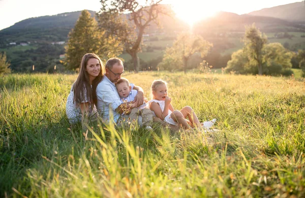 Junge Familie mit zwei kleinen Kindern sitzt bei Sonnenuntergang auf der Wiese im Freien. — Stockfoto