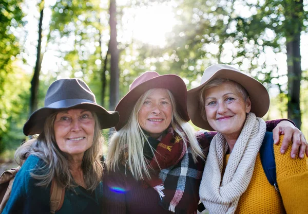 Senior women friends walking outdoors in forest, looking at camera. — Stock Photo, Image