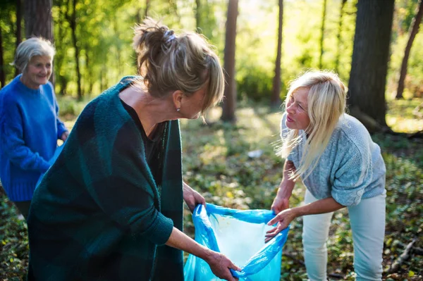 Idősebb női barátok szemetet szednek az erdőben, egy merülő koncepció.. — Stock Fotó