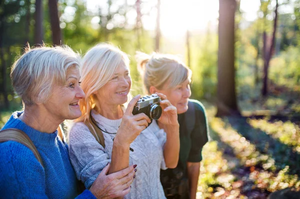 Mulheres idosas amigas andando ao ar livre na floresta, tirando fotos com câmera . — Fotografia de Stock