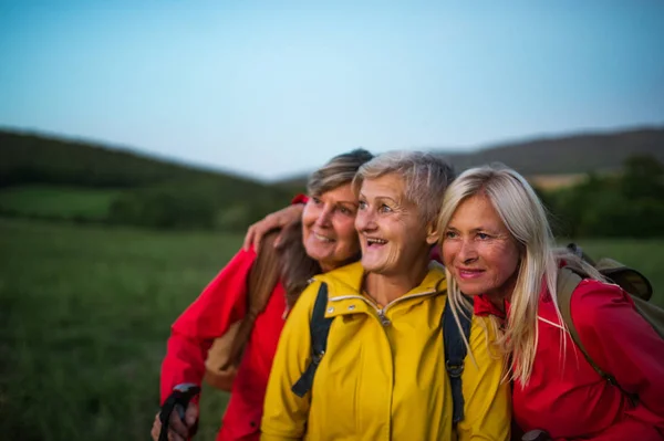 Senior women friends on walk outdoors in nature at dusk. — Stock Photo, Image
