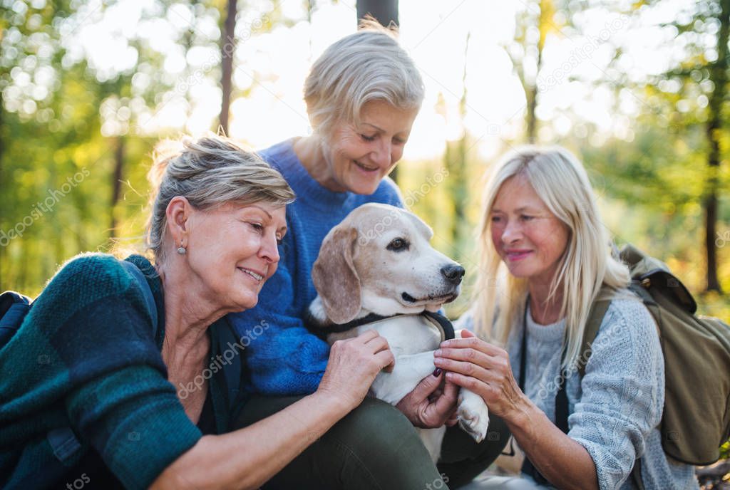 Senior women friends with dog on walk outdoors in forest.