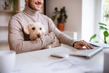 Ofisteki masasında oturan köpekle iş adamının orta kısmı..