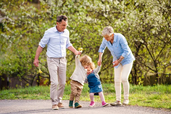 Äldre mor- och farföräldrar med småbarn som vandrar i naturen på våren. — Stockfoto
